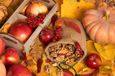 sonbaharda hasat - meyve ve sebzelerin çoğu düşen sarı yapraklar, elma, pumpkins, rowan ve biber. Sonbahar sezonu için mükemmel bir arka plan.