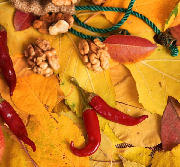 Herbsternte Obst Und Gemüse Liegen Auf Abgefallenen Gelben Blättern Äpfeln — Stockfoto