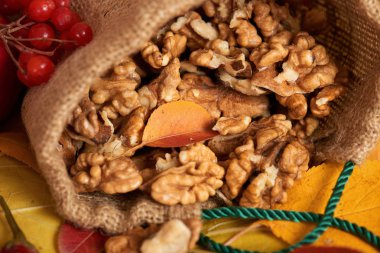 sonbaharda hasat - meyve ve sebzelerin çoğu düşen sarı yapraklar, fındık, elma, pumpkins, rowan ve biber. Sonbahar sezonu için mükemmel bir arka plan.