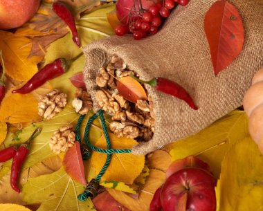 sonbaharda hasat - meyve ve sebzelerin çoğu düşen sarı yapraklar, fındık, elma, pumpkins, rowan ve biber. Sonbahar sezonu için mükemmel bir arka plan.