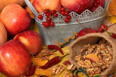 sonbaharda hasat - meyve ve sebzelerin çoğu düşen sarı yapraklar, fındık, elma, pumpkins, rowan ve biber. Sonbahar sezonu için mükemmel bir arka plan.