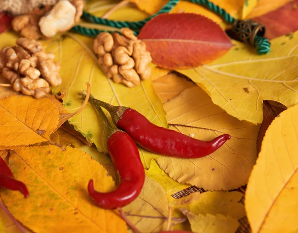 Herbsternte Obst Und Gemüse Liegen Auf Abgefallenen Gelben Blättern Äpfeln — Stockfoto