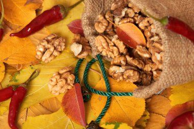 sonbaharda hasat - meyve ve sebzelerin çoğu düşen sarı yapraklar, fındık, elma, pumpkins, rowan ve biber. Sonbahar sezonu için mükemmel bir arka plan.