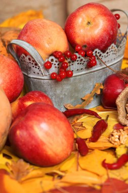 sonbaharda hasat - meyve ve sebzelerin çoğu düşen sarı yapraklar, elma, pumpkins, rowan ve biber. Sonbahar sezonu için mükemmel bir arka plan.