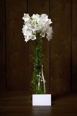 koyu ahşap arka plan, Not veya iletileri için boş kağıt levha üzerinde bir vazoda beyaz çiçek