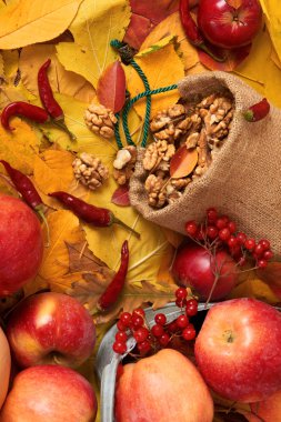 sonbaharda hasat - meyve ve sebzelerin çoğu düşen sarı yapraklar, fındık, elma, pumpkins, rowan ve biber. Sonbahar sezonu için mükemmel bir arka plan.