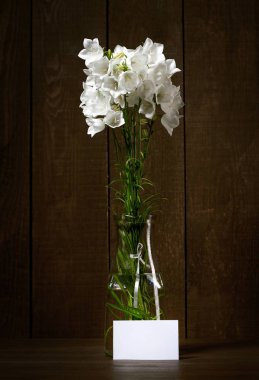 koyu ahşap arka plan, Not veya iletileri için boş kağıt levha üzerinde bir vazoda beyaz çiçek