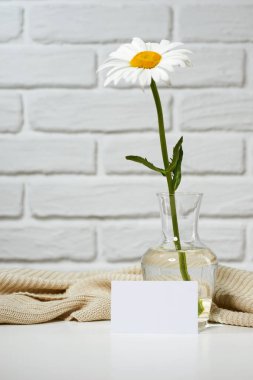 beyaz papatya çiçek örgü yün, tuğla duvar arka plan ile masada olduğunu