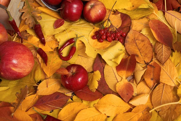 Autumn Harvest Fruits Vegetables Fallen Yellow Leaves Apples Pumpkins Rowan — Stock Photo, Image