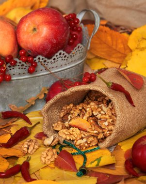 sonbaharda hasat - meyve ve sebzelerin çoğu düşen sarı yapraklar, fındık, elma, pumpkins, rowan ve biber. Sonbahar sezonu için mükemmel bir arka plan.