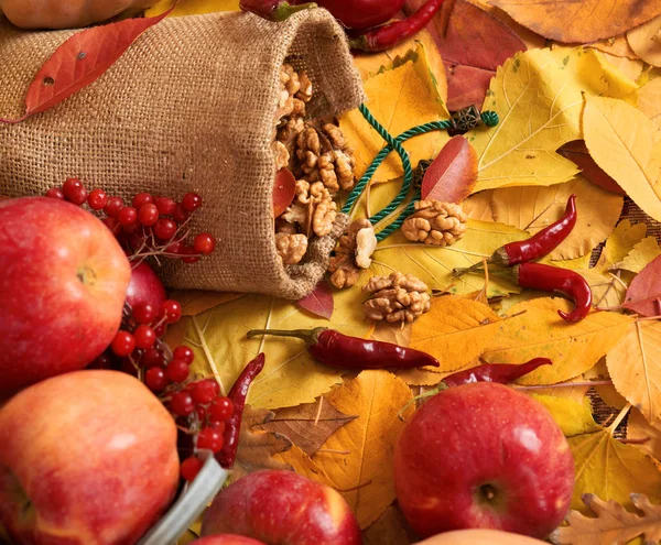 Autumn Harvest Fruits Vegetables Fallen Yellow Leaves Nuts Apples Pumpkins — Stock Photo, Image