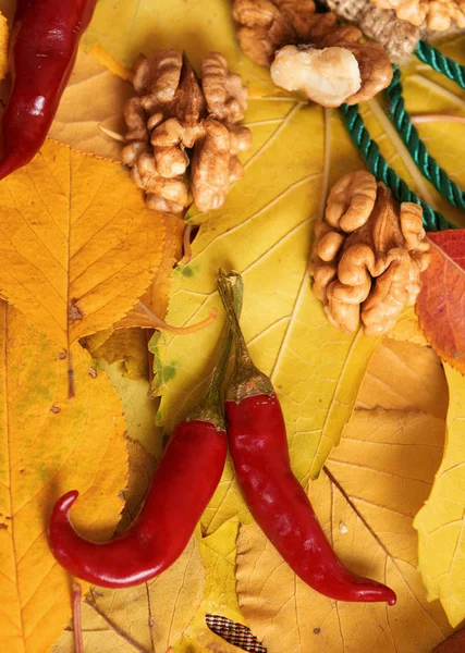 Raccolta Autunnale Frutta Verdura Sono Foglie Gialle Cadute Mele Zucche — Foto Stock