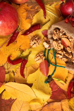 sonbaharda hasat - meyve ve sebzelerin çoğu düşen sarı yapraklar, fındık, elma, pumpkins, rowan ve biber. Sonbahar sezonu için mükemmel bir arka plan.