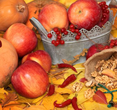 sonbaharda hasat - meyve ve sebzelerin çoğu düşen sarı yapraklar, fındık, elma, pumpkins, rowan ve biber. Sonbahar sezonu için mükemmel bir arka plan.