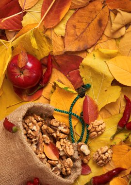 sonbaharda hasat - meyve ve sebzelerin çoğu düşen sarı yapraklar, fındık, elma, pumpkins, rowan ve biber. Sonbahar sezonu için mükemmel bir arka plan.
