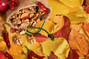 sonbaharda hasat - meyve ve sebzelerin çoğu düşen sarı yapraklar, elma, pumpkins, rowan ve biber. Sonbahar sezonu için mükemmel bir arka plan.