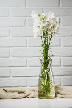 Bir vazoda beyaz çiçek örgü yün, tuğla duvar arka plan ile masada olduğunu