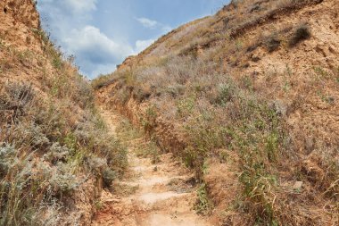 yol yakınındaki yüksek deniz, güzel kıyı peyzaj, seyahat kavramı