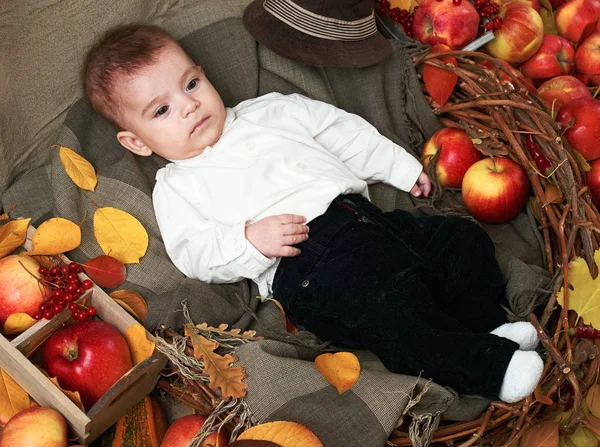 Concepto Otoño Niño Encuentran Hojas Amarillas Con Frutas Verduras Manzanas — Foto de Stock