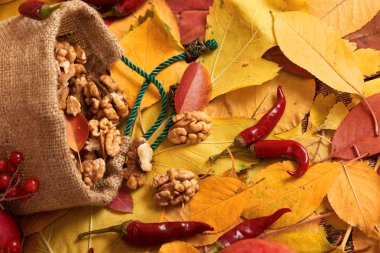 sonbaharda hasat - meyve ve sebzelerin çoğu düşen sarı yapraklar, fındık, elma, pumpkins, rowan ve biber. Sonbahar sezonu için mükemmel bir arka plan.