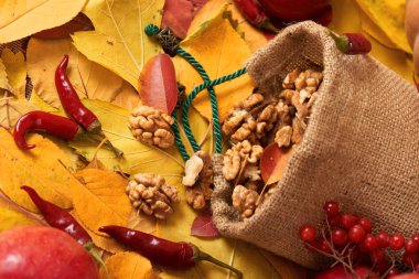 sonbaharda hasat - meyve ve sebzelerin çoğu düşen sarı yapraklar, fındık, elma, pumpkins, rowan ve biber. Sonbahar sezonu için mükemmel bir arka plan.