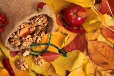 sonbaharda hasat - meyve ve sebzelerin çoğu düşen sarı yapraklar, fındık, elma, pumpkins, rowan ve biber. Sonbahar sezonu için mükemmel bir arka plan.