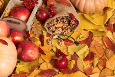 sonbaharda hasat - meyve ve sebzelerin çoğu düşen sarı yapraklar, elma, pumpkins, rowan ve biber. Sonbahar sezonu için mükemmel bir arka plan.