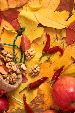 sonbaharda hasat - meyve ve sebzelerin çoğu düşen sarı yapraklar, fındık, elma, pumpkins, rowan ve biber. Sonbahar sezonu için mükemmel bir arka plan.