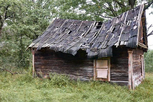 Gammalt Trähus Skogen — Stockfoto