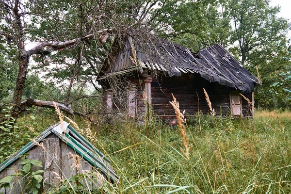 Antigua Casa Madera Bosque — Foto de Stock