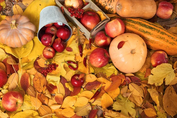 Autumn Harvest Fruits Vegetables Fallen Yellow Leaves Apples Pumpkins Rowan — Stock Photo, Image