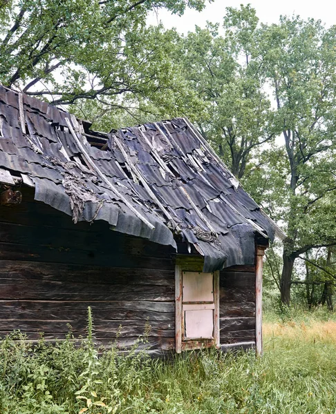 Starý Dřevěný Dům Lese — Stock fotografie