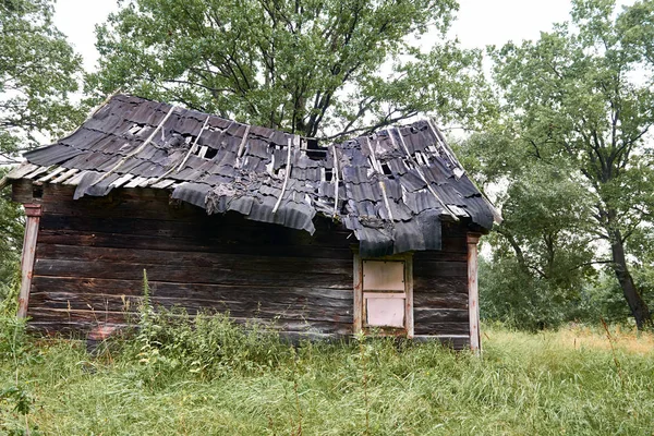 森の古い木造住宅 — ストック写真