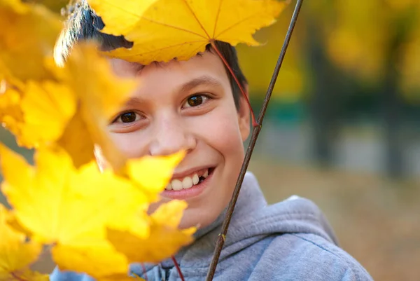 Jongenskind Met Gele Bladeren Herfst Stadspark Heldere Gele Bomen — Stockfoto