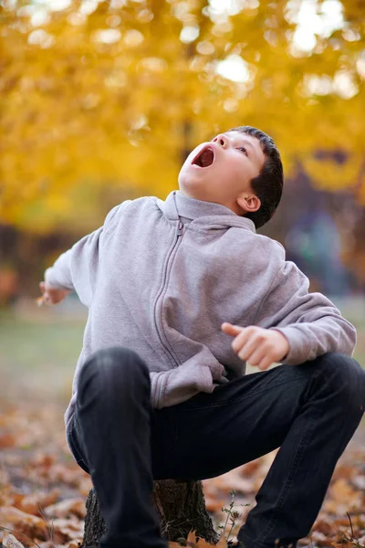 Chłopiec Dziecko Siedzieć Pniu Żółte Liście Jest Jesienny Park Miejski — Zdjęcie stockowe