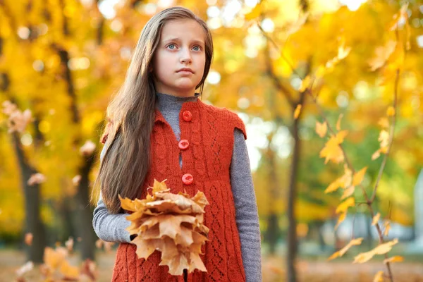 Fille Enfant Avec Des Feuilles Jaunes Est Dans Parc Ville — Photo