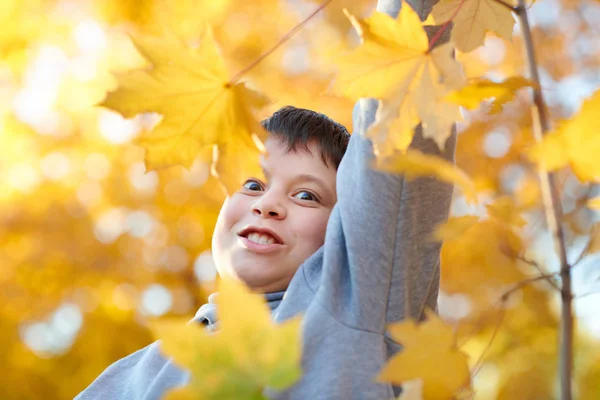 Jongenskind Met Gele Bladeren Herfst Stadspark Heldere Gele Bomen — Stockfoto