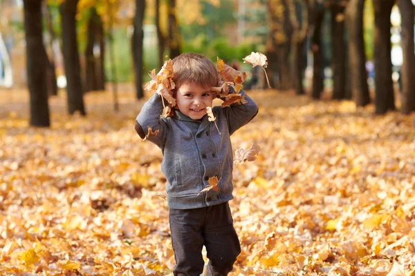 Kind Jongen Herfst Stadspark Heldere Gele Bomen — Stockfoto