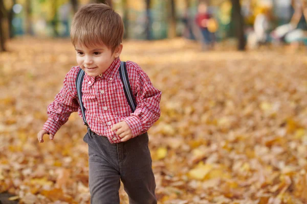 Dítě Chlapec Běží Podzimní Městského Parku Zářivě Žluté Stromy — Stock fotografie