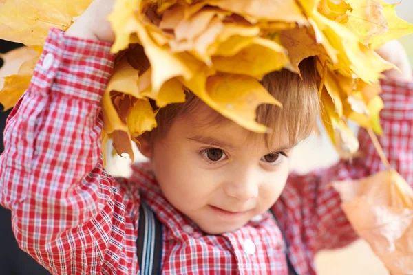 孩子男孩头上摆着黄色落叶的姿势 秋天城市公园 明亮的天 — 图库照片