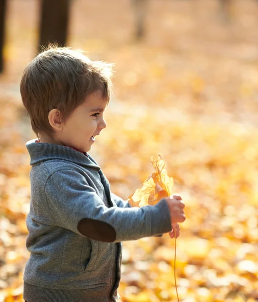 Dítě Chlapec Podzimní Městského Parku Zářivě Žluté Stromy — Stock fotografie