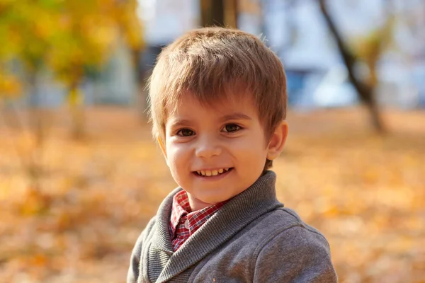 Child Boy Autumn City Park Bright Yellow Trees — Stock Photo, Image