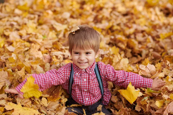 Kind Jongen Liegen Spelen Gevallen Bladeren Herfst Stadspark — Stockfoto