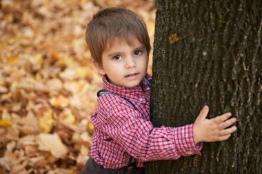 Çocuk Çocuk sonbahar Şehir Parkı içinde yürüyor. Parlak sarı ağaçlar.