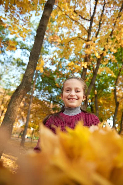 Mädchen Ist Herbst Stadtpark Leuchtend Gelbe Blätter Und Bäume Glücklicher — Stockfoto