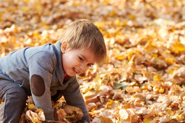 Ребенок Осеннем Городском Парке Яркие Жёлтые Деревья — стоковое фото