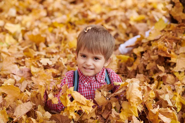 在秋天的城市公园里 孩子男孩躺在那里玩落叶 — 图库照片