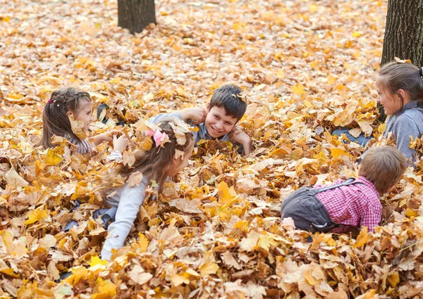 Les Enfants Sont Couchés Jouent Sur Les Feuilles Tombées Dans — Photo