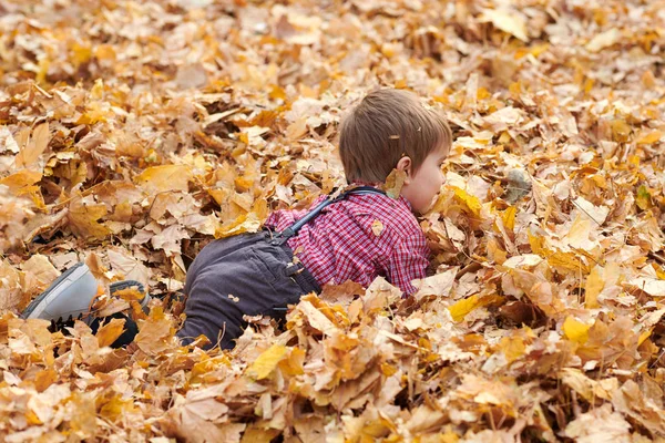 Chłopiec Dziecko Jest Kłamstwo Grając Opadłych Liści Parku Miejskim Jesień — Zdjęcie stockowe