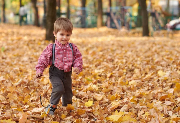 Junge Läuft Herbst Stadtpark Leuchtend Gelbe Bäume — Stockfoto